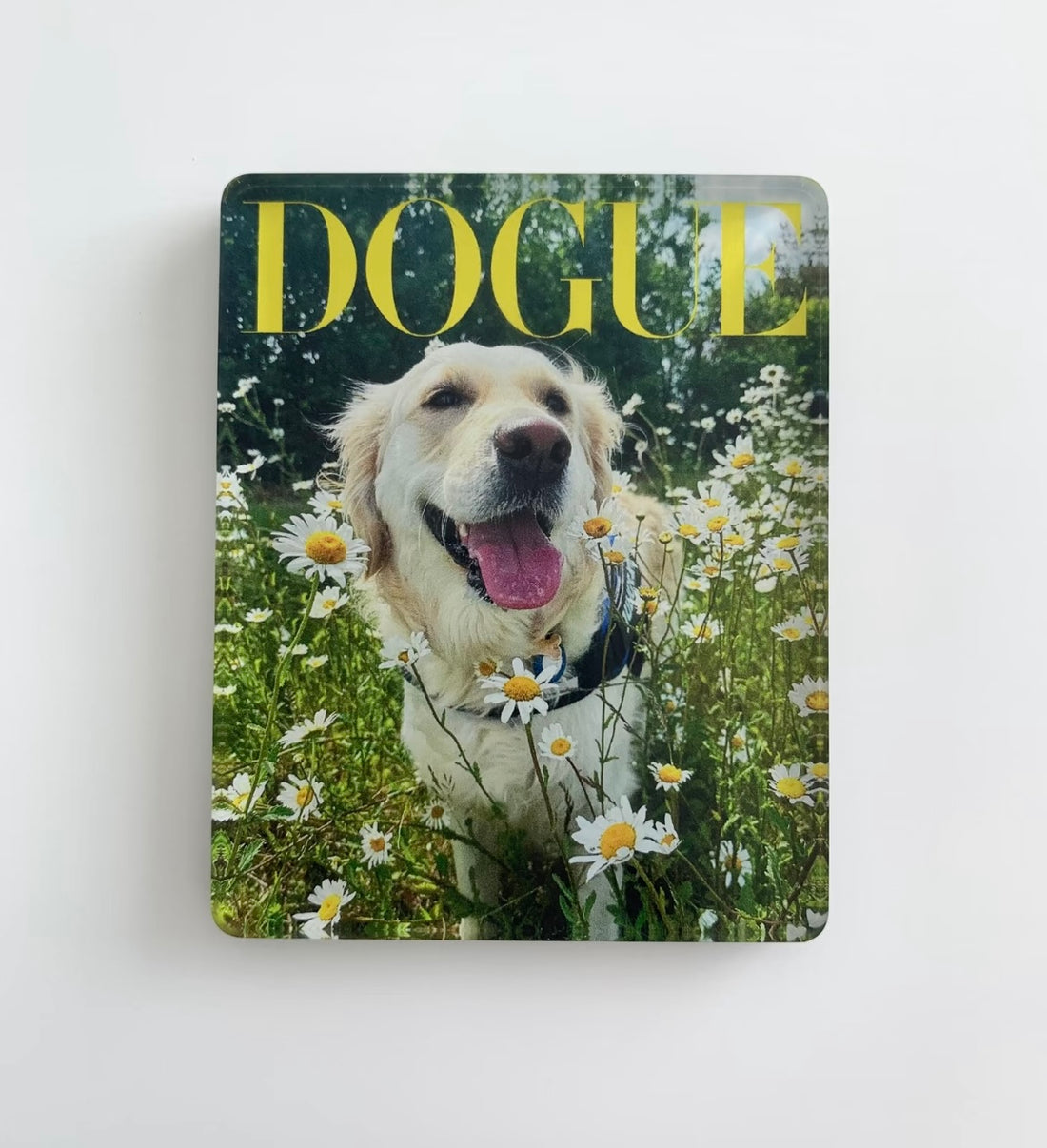 Acryl-Haustier-Kühlschrankmagnete nach Maß--Kostenloses Geschenk (nicht zum Verkauf)