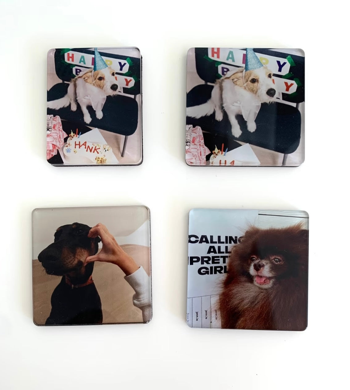 Acryl-Haustier-Kühlschrankmagnete nach Maß--Kostenloses Geschenk (nicht zum Verkauf)