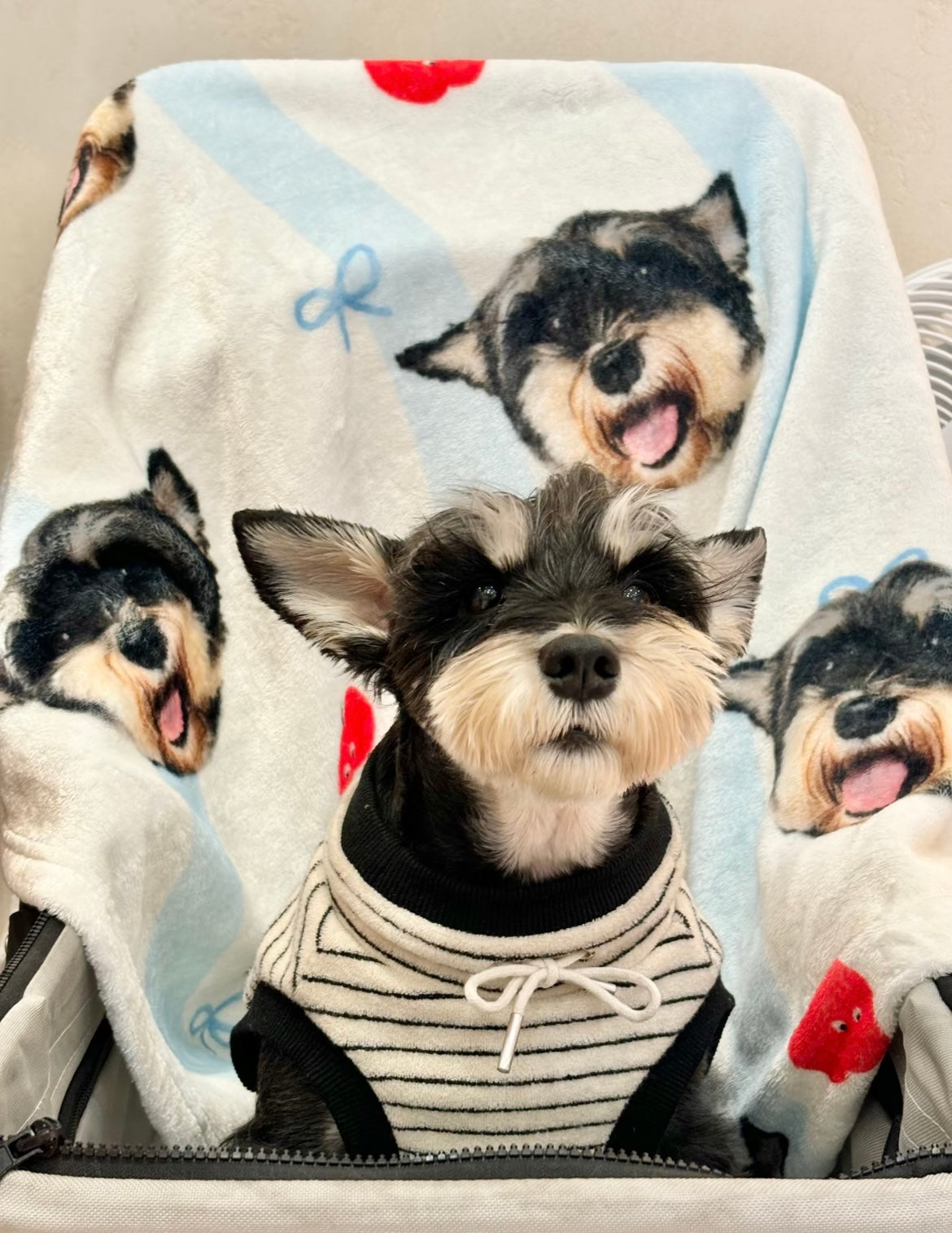 Wärmende Nähe zu Ihrem Liebling – Personalisierte Kuscheldecke