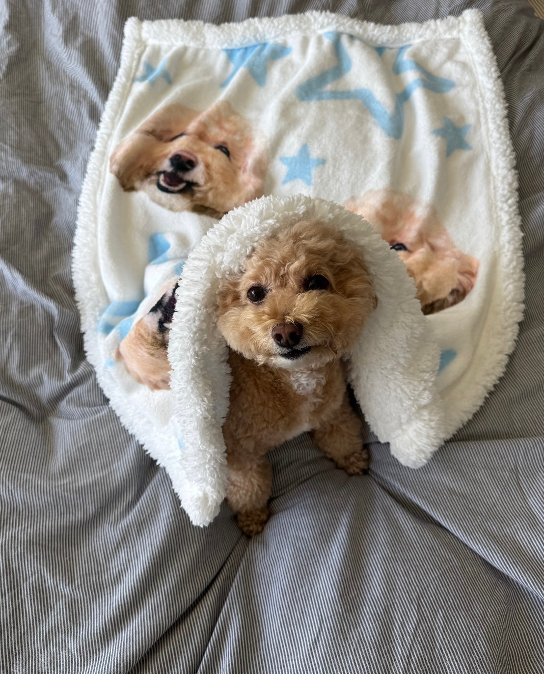 Wärmende Nähe zu Ihrem Liebling – Personalisierte Kuscheldecke